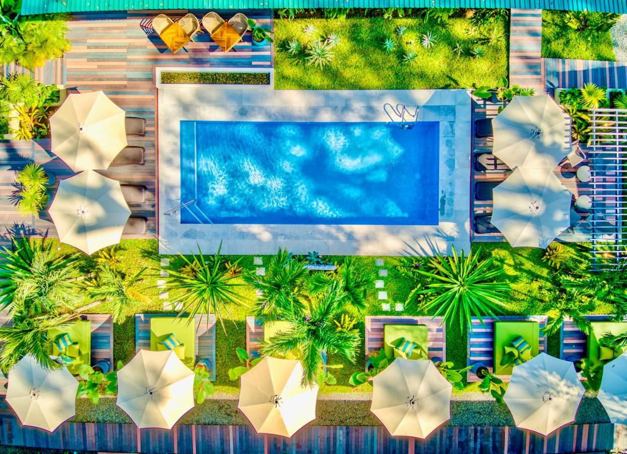 Exotico Beach Hotel Puerto Viejo de Talamanca Exterior photo