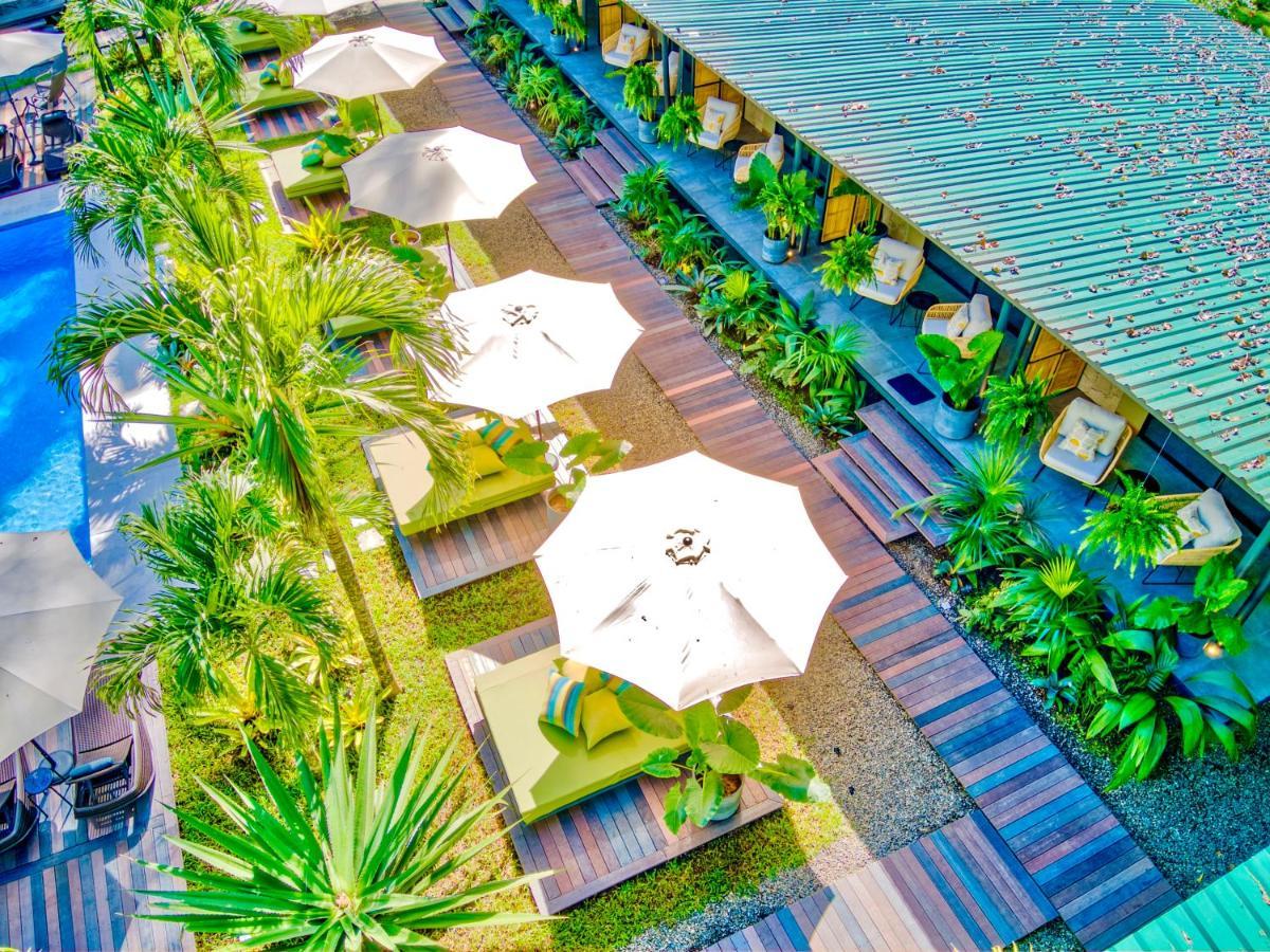 Exotico Beach Hotel Puerto Viejo de Talamanca Exterior photo